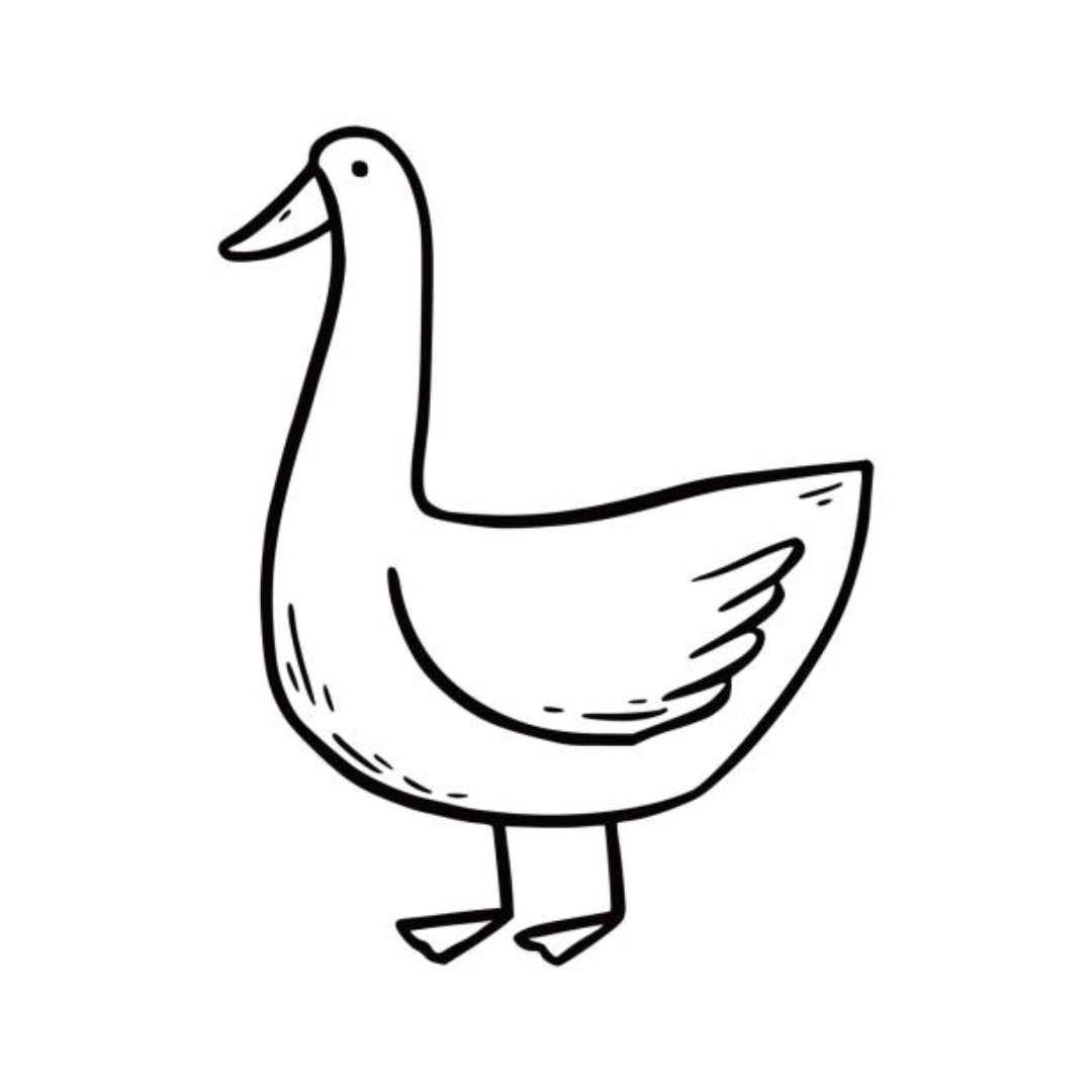 How to Draw a Duck for Digital Art